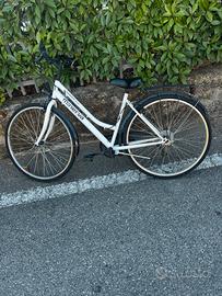 Bici minerva voyage confort