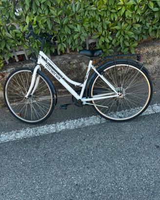 Bici minerva voyage confort