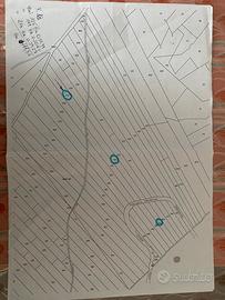 Terreno agricolo Casalvecchio di Puglia