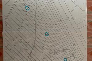 Terreno agricolo Casalvecchio di Puglia