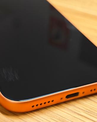 Iphone 17 Pro Max 256gb in garanzia