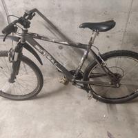 bici sintesi