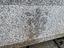 Immagine 24