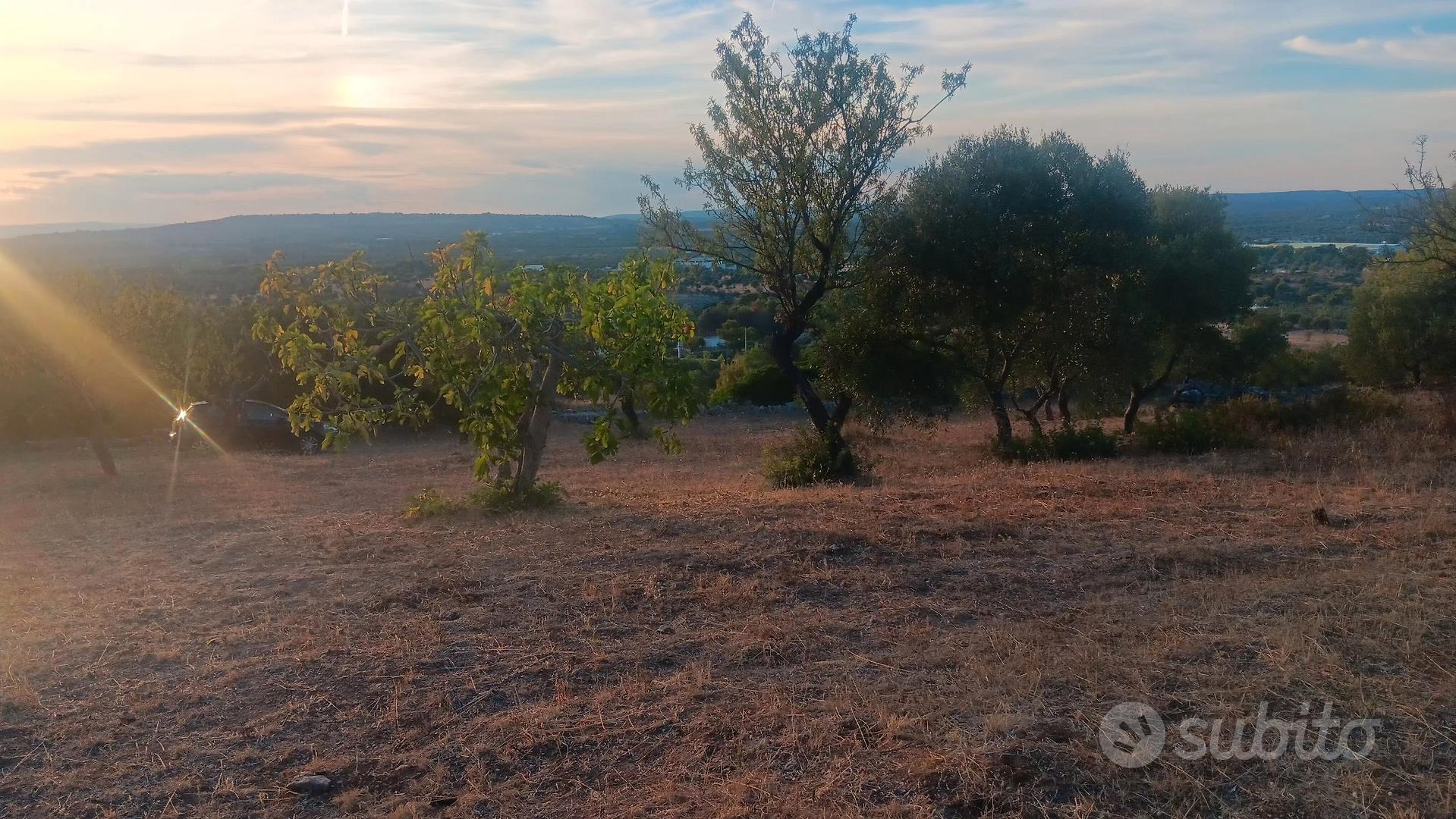 terreno agricolo - Vista 2