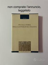 piccola storia della letteratura italiana libro
