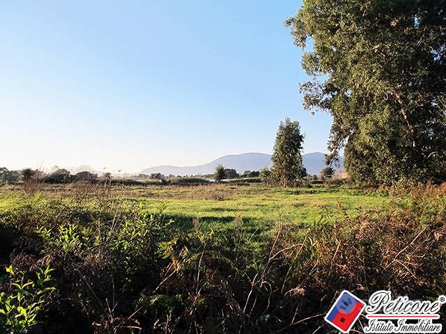 Terreno agricolo - Fondi - Vista 4