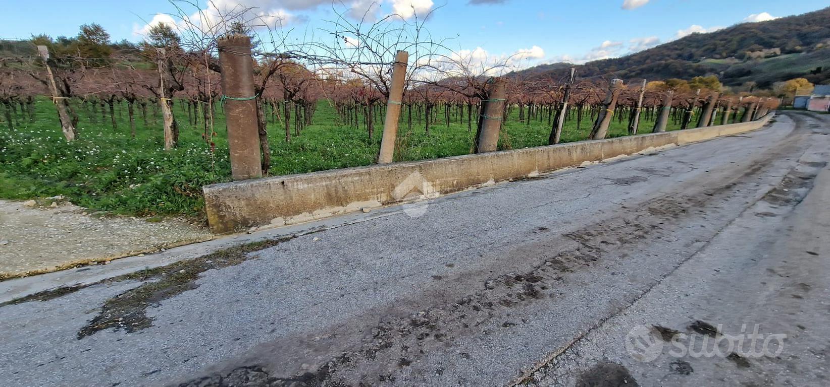 TER. AGRICOLO A FOGLIANISE - Vista 3