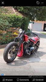 Harley Davidson  special 