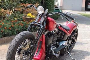 Harley Davidson  special 