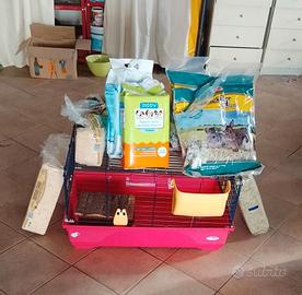 gabbia con fieno, segatura e traverse per cavia