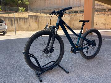 Scott Roxter 24”