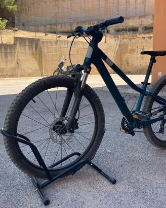 Scott Roxter 24”
