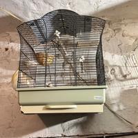 gabbia per canarini/pappaggalli