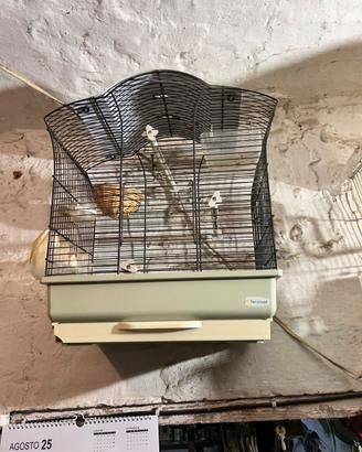 gabbia per canarini/pappaggalli