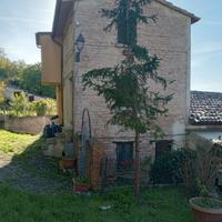 RGE 43/2024 - Tribunale di Urbino - Lotto 2