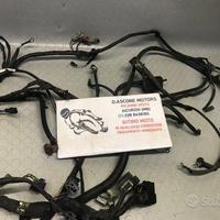 Cablaggio impianto elettrico xmax 2005 2009 N0120