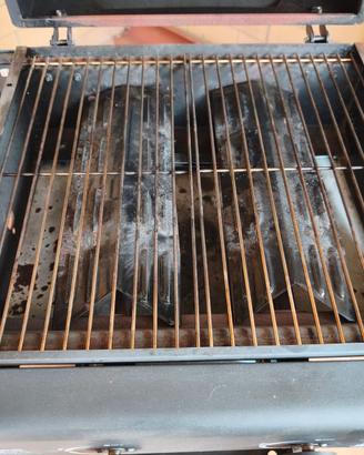 Barbecue a gas gpl