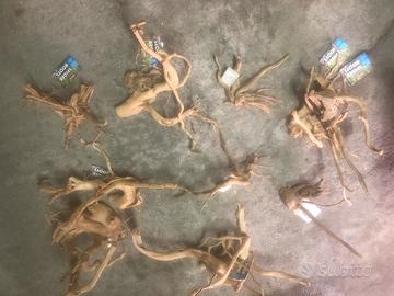 Legni teche e acquari