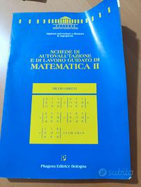 Schede di autovalutazione e di lavoro guidato di M