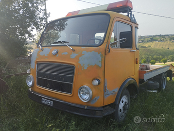 Carro attrezzi om orsetto 35ql pat. b