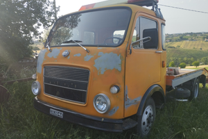 Carro attrezzi om orsetto 35ql pat. b