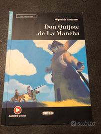 Don Quijote de la Manche 9788853017291
