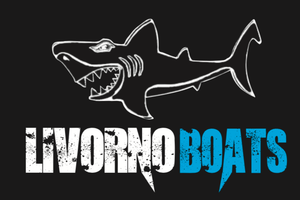 Vendi con noi la tua barca o il tuo gommone