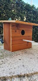 Nido uccelli esotici bengalini passeri