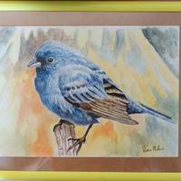 Disegno originale acquarello su carta