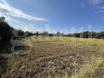 Terreno Agricolo Milazzo [Cod. rif 3262598VCG]