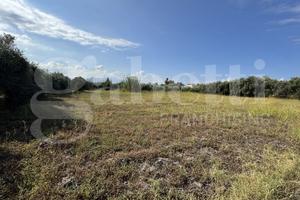 Terreno Agricolo Milazzo [Cod. rif 3262598VCG]