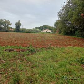Vendita terreno circa 2.500 mq Alatri (FR)