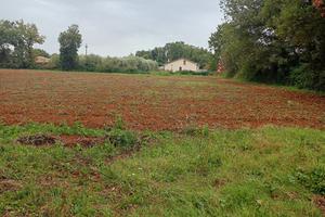 Vendita terreno circa 2.500 mq Alatri (FR)