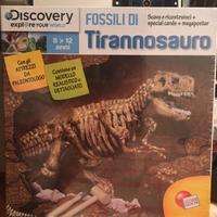 Gioco fossile di tirannosauro da scavare