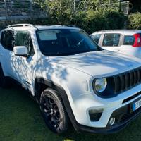 Jeep renegade restilyng