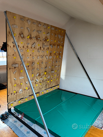 Mini moonboad arrampicata