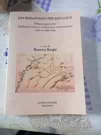 Un passamano per San Luca-Beatrice Borghi