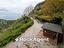 Immagine 12