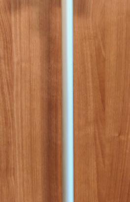 Dyson Floor Dok V12 detect slim