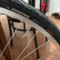 Cerchio poteriore bici nuovo, gomma antitaglio