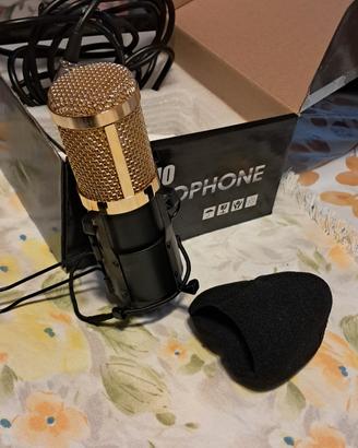microfono e stabilizzatore e asta 