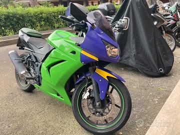 Kawasaki Ninja 250R