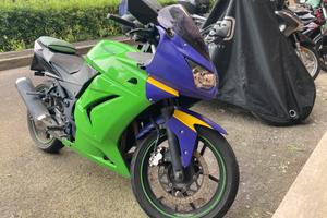 Kawasaki Ninja 250R