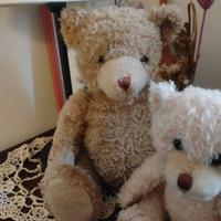 Orsetto da collezione