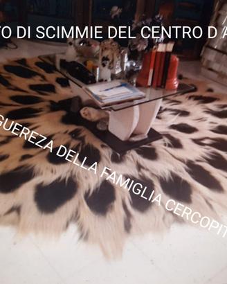 tappeto di scimmia anni 40