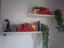 Immagine 4