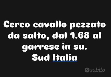 Cavallo