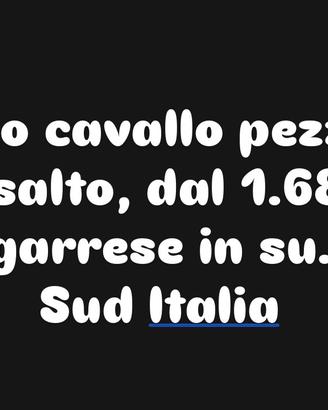 Cavallo