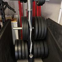 Set 200kg dischi bumper Lacertosus