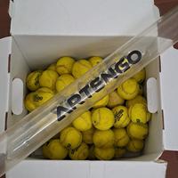 Palline tennis e tubo per raccoglierle 